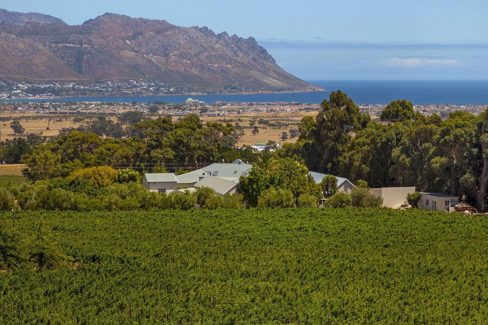 Vineyard Manor At 13 Vines By Hostagents Villa Somerset West Exterior photo